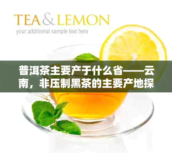 普洱茶主要产于什么省——云南，非压制黑茶的主要产地探秘