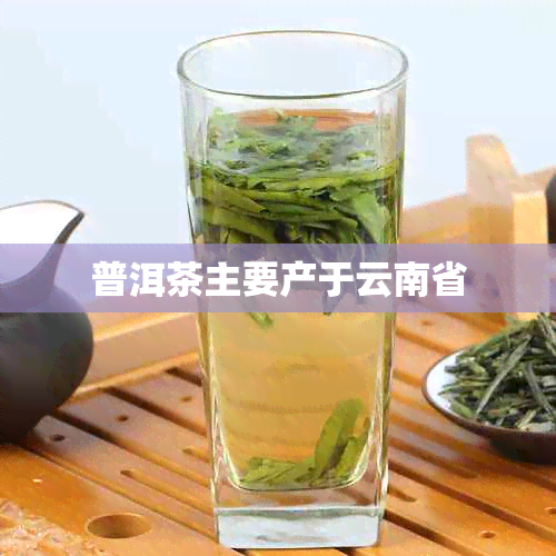 普洱茶主要产于云南省
