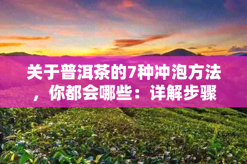 关于普洱茶的7种冲泡方法,你都会哪些:详解步骤与简单技巧