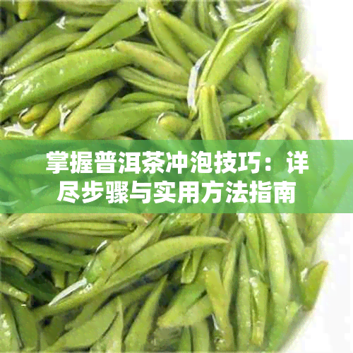 掌握普洱茶冲泡技巧:详尽步骤与实用方法指南