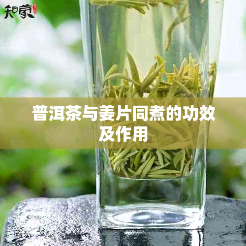 普洱茶与姜片同煮的功效及作用