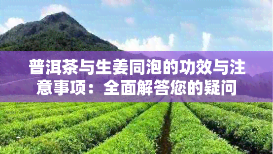 普洱茶与生姜同泡的功效与注意事项:全面解答您的疑问