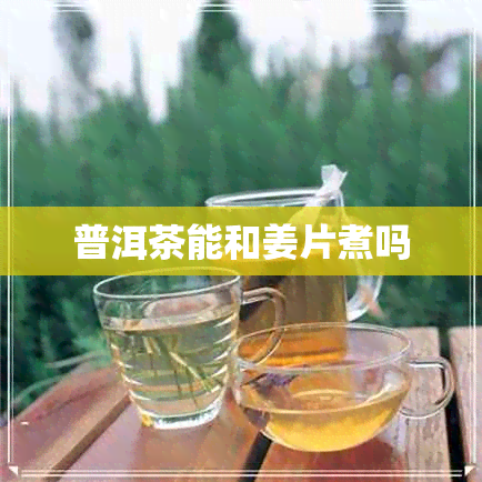 普洱茶能和姜片煮吗 普洱茶能和姜片煮吗