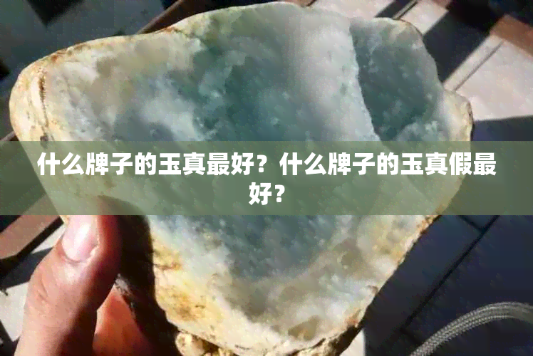 什么牌子的玉真更好?什么牌子的玉真假更好?