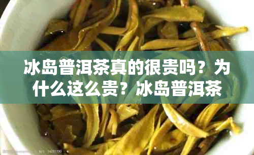 冰岛普洱茶真的很贵吗?为什么这么贵?冰岛普洱茶的特点、功效及评价