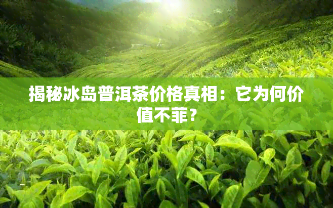揭秘冰岛普洱茶价格真相:它为何价值不菲?