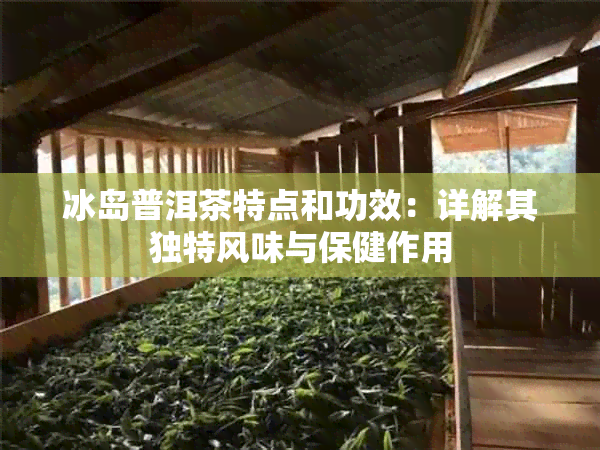冰岛普洱茶特点和功效:详解其独特风味与保健作用