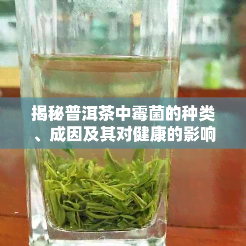 揭秘普洱茶中霉菌的种类、成因及其对健康的影响
