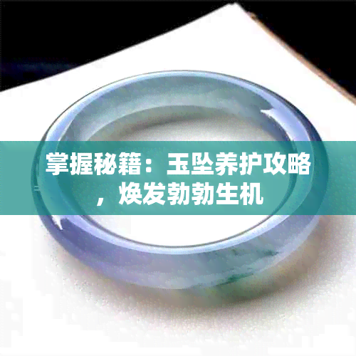 掌握秘籍:玉坠养护攻略,焕发勃勃生机