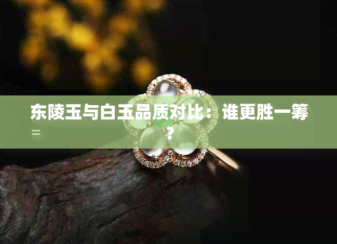 东陵玉与白玉品质对比:谁更胜一筹?