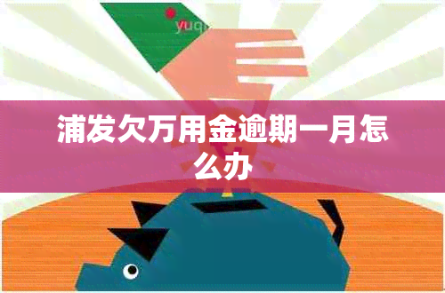 浦发欠万用金逾期一月怎么办