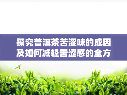 探究普洱茶苦涩味的成因及如何减轻苦涩感的全方位指南