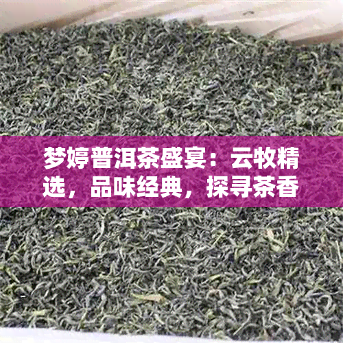 梦婷普洱茶盛宴：云牧精选，品味经典，探寻茶香之源