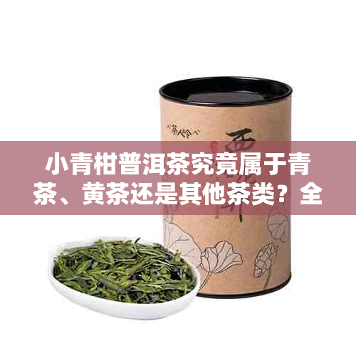 小青柑普洱茶究竟属于青茶、黄茶还是其他茶类？全面解析其分类及特点