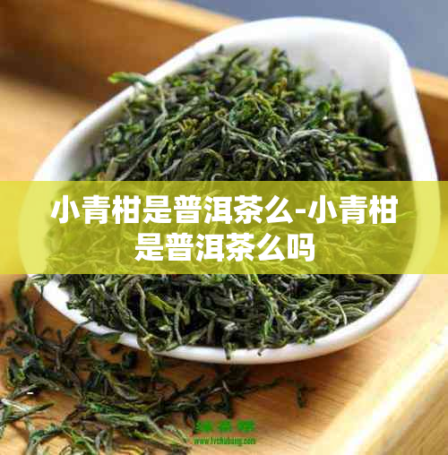 小青柑是普洱茶么-小青柑是普洱茶么吗