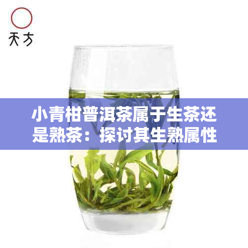 小青柑普洱茶属于生茶还是熟茶:探讨其生熟属性之谜