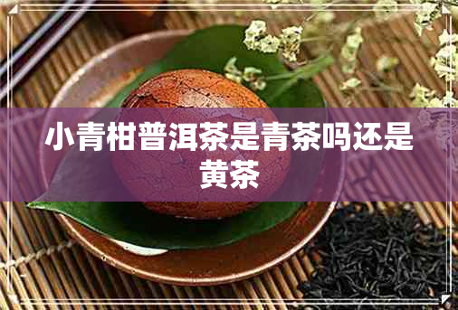 小青柑普洱茶是青茶吗还是黄茶 小青柑普洱茶是青茶吗还是黄茶