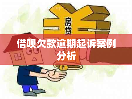 网贷欠款逾期起诉案例分析