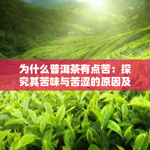 为什么普洱茶有点苦：探究其苦味与苦涩的原因及影响