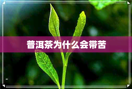 普洱茶为什么会带苦 普洱茶为什么会带苦