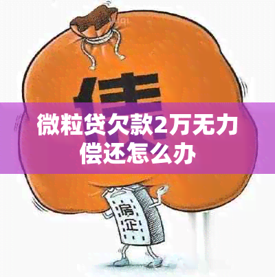 微粒贷欠款2万无力偿还怎么办