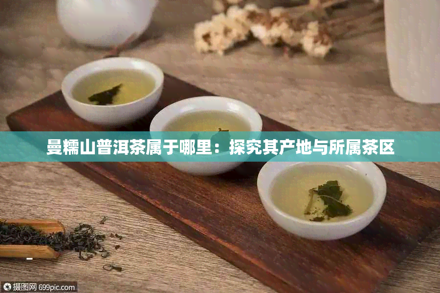 曼糯山普洱茶属于哪里：探究其产地与所属茶区