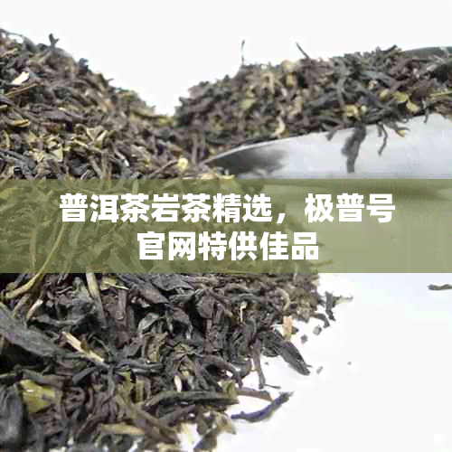 普洱茶岩茶精选，极普号官网特供佳品