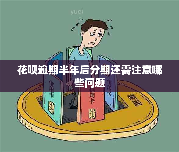 信用卡逾期半年后分期还需注意哪些问题