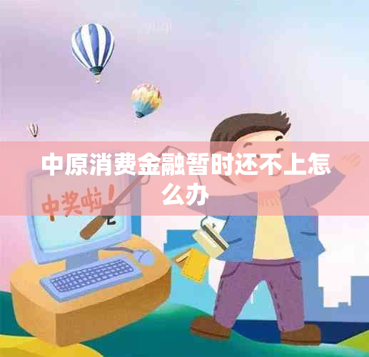 中原消费金融暂时还不上怎么办