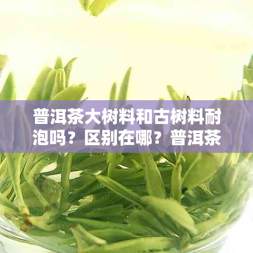 普洱茶大树料和古树料耐泡吗？区别在哪？普洱茶古树纯料优选