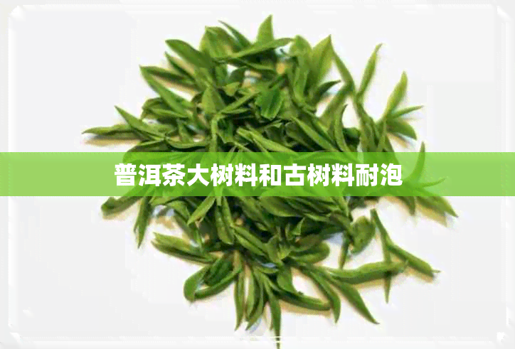 普洱茶大树料和古树料耐泡 普洱茶大树料和古树料耐泡