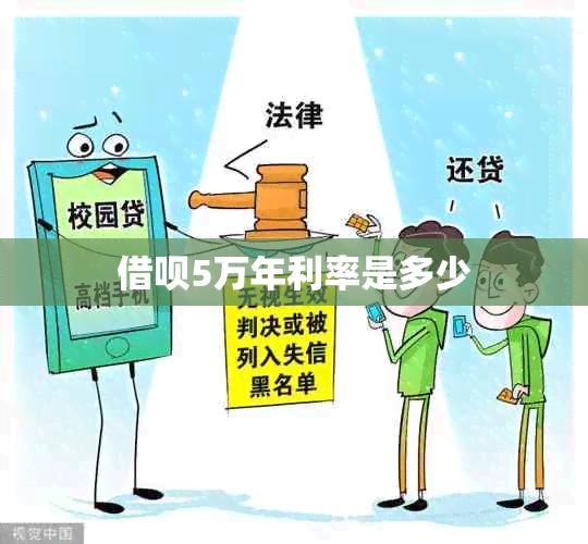 网贷5万年利率是多少