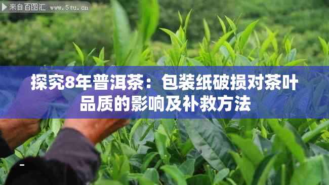 探究8年普洱茶：包装纸破损对茶叶品质的影响及补救方法
