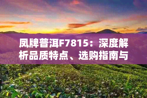 凤牌普洱F7815:深度解析品质特点、选购指南与收藏价值