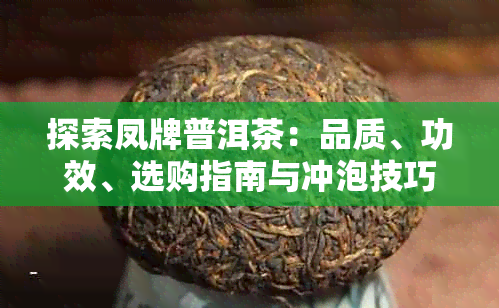 探索凤牌普洱茶:品质、功效、选购指南与冲泡技巧全解析