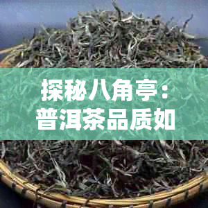 探秘八角亭：普洱茶品质如何评价