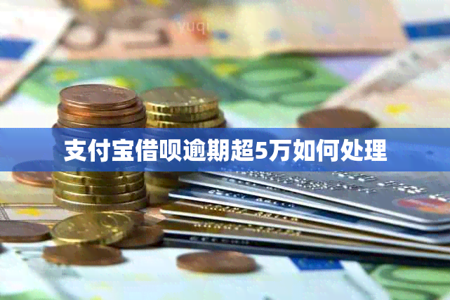 支付宝网贷逾期超5万如何处理