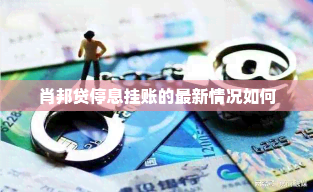 肖邦贷停息挂账的最新情况如何