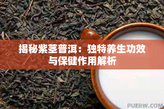 揭秘紫茎普洱：独特养生功效与保健作用解析