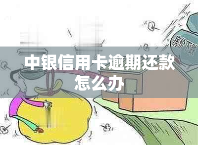 中银信用卡逾期还款怎么办