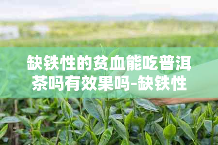 缺铁性的贫血能吃普洱茶吗有效果吗-缺铁性的贫血能吃普洱茶吗有效果吗女性