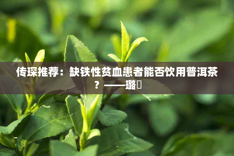 传琛推荐：缺铁性贫血患者能否饮用普洱茶？——璐