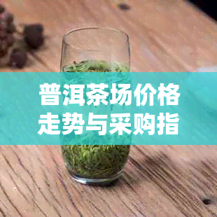 普洱茶场价格走势与采购指南：最新报价、热门、行情分析