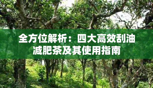 全方位解析：四大高效刮油减肥茶及其使用指南