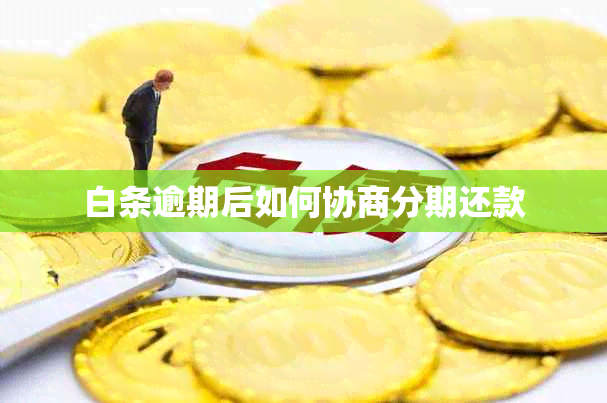 白条逾期后如何协商分期还款