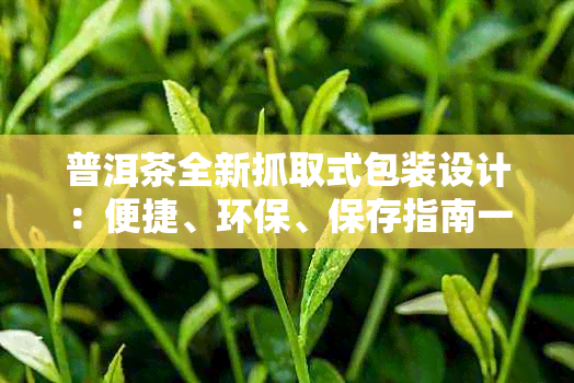 普洱茶全新抓取式包装设计：便捷、环保、保存指南一览