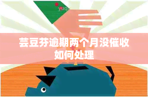 芸豆芬逾期两个月没如何处理