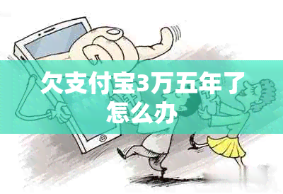 欠支付宝3万五年了怎么办