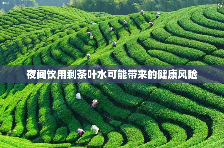 夜间饮用剩茶叶水可能带来的健康风险