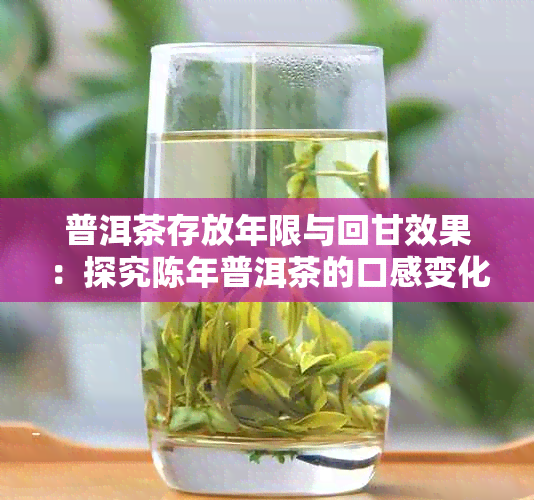 普洱茶存放年限与回甘效果：探究陈年普洱茶的口感变化及品饮时期